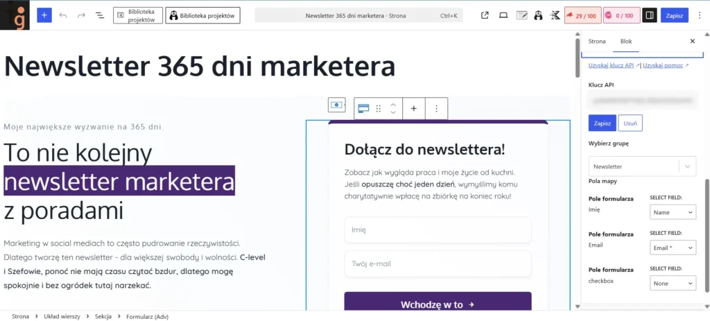 Panel WordPressa z motywem KadenceWP i integracją z MailerLite